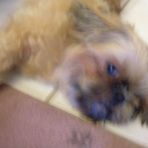 Meet your Posher, Doris